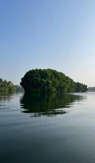 A Glass Haven on the tranquil Munroe Islands - Kollam - 4