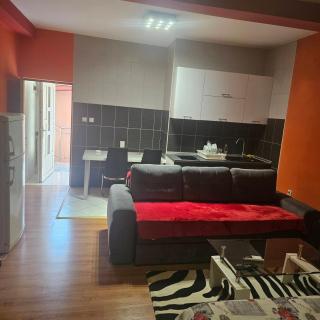 Apartment Savanovic - Banja Luka - 3