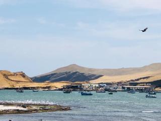 Ocean View Apartment - Paracas - 8