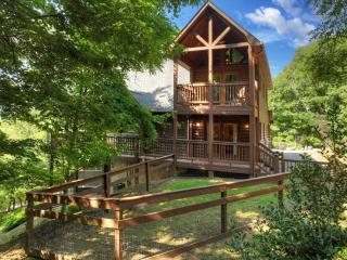 Eagle Ridge Cabin - Mineral Bluff - 7