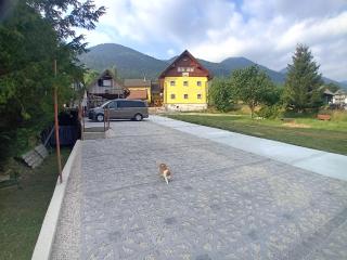 Tubej apartments and B&B family room - Bohinj - 2