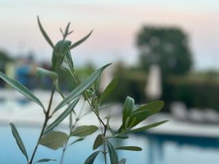 Aquamarine - Beach & SPA Hotel- All inclusive - Kranevo - 4