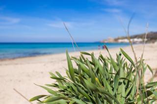 Spiaggia a 200m - Terrazza Vista Mare, A-C & WiFi - 9