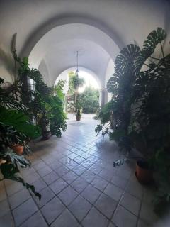 La casa delle Camelie - Meta - 0