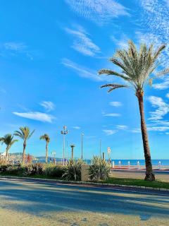Sea La Vie - Nice - 1