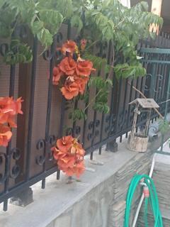 Athena House - Nea Iraklitsa - 1