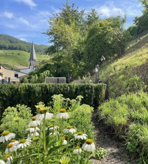 Ferienpension bei Stenze - Senheim - 8