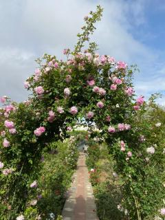 Summer house nearCaspian sea Fatmai, Baku Дачный дом на берегу моря, Фатмаи, Баку - 1
