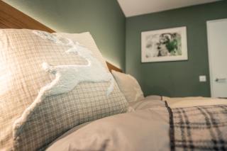 Haus Cervino - luxury apartment - 6