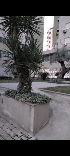 Green Tower - Valona - 1