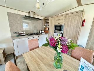 Bee Hive Hot Tub lodge with Free Hoburne Passes - South Cerney - 4