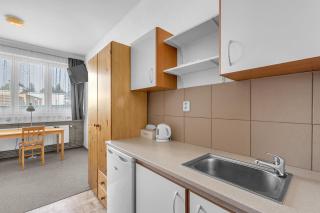 Apartmány a ubytování Přemyslova, Hradec Králové - Hradec Králové - 5