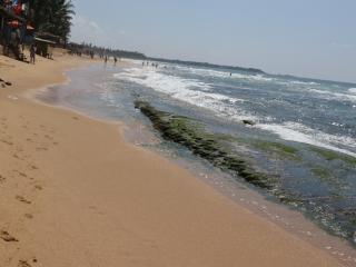 Why Not Guest house - 1