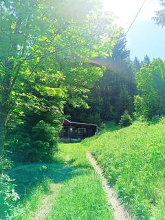 Cabana din padure - Neagra - 3