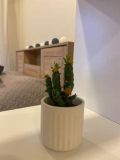 Lāčplēša ielas apartment nr 1 - 3