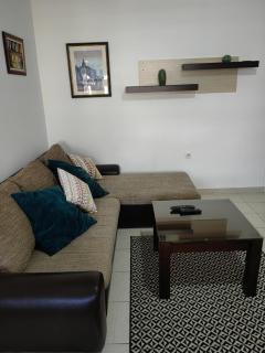 Orient Apartman - Sremska Kamenica - 1