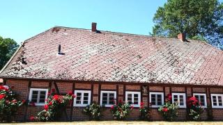 Lüdersburger Strasse 15b - Lüdersburg - 2