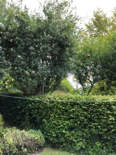 Double room on Chilkwell Street - Glastonbury - 2