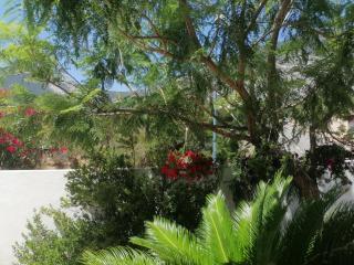 Blue Trane - Cala Gonone - 9