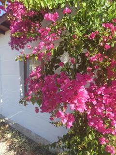 Kavurlukoz Butik Apart - Karaburun - 3