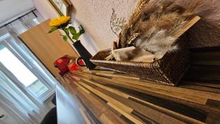 Central Charm - Bedroom & Kitchen Apartment near the Main Station Hauptbahnhof - 1