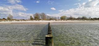 Ferienwohnung Makrelle - Insel Poel - 2