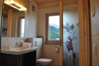 Hinkerhof - Schladming - 1