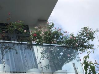 Bảo Anh Guesthouse - Thôn Trường Giang - 3