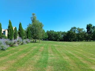 Bastide De Luzert - Labastide-de-Lévis - 5