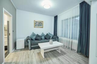 Sorica & Cazacu Apartments by Pensiunea Noni Boutique - Azuga - 2
