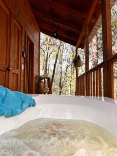 Casa de madera con Jacuzzi - Huasca de Ocampo - 4