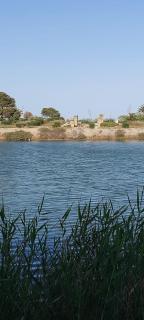 "L'Abri Côtier" Appartement Haut Standing Port Punique Carthage-Byrsa - 0