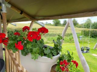 Camping La Dolce Vita - 5