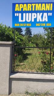 Apartment Ljupka - Pančevo - 8