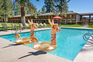 Best Western Ponderosa Lodge - 5