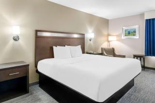 Best Western Abilene Inn and Suites - Abilene - 4