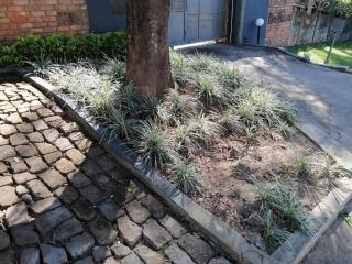 Kaste guesthouse Tzaneen - 7