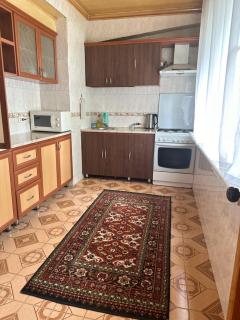 Апартаменты у парка Голубые купола и ЦУМ Apartments at Blue dome park - Tasjkent - 3