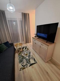 Bagry Rooms2 - Apartament z sypialnią i miejscem postojowym - Cracovia - 4