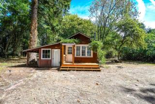Adorable Cottage Among Trees Close To Everything - Vancouver - 6