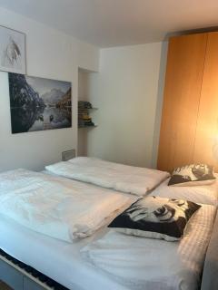 Apartment mit Logia und kleinen Garten in zentraler Lage 2 - Wenen - 5