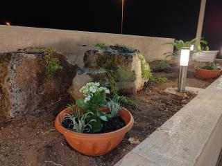 MareApulia 92 - Monopoli - 9