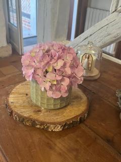 Oh ! Fleurs des champs - Chaumont-sur-Tharonne - 9