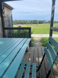 Tinyhaus Lärche - 8