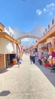 Dar laraichi - Rabat - 8