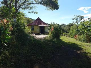 Finca Cielo Verde - Monteverde - 1