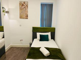Stunning Two bed room flat in Central London - Londra - 9