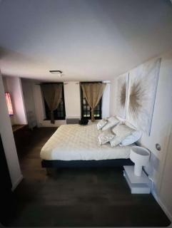 Loft ravissant 45m2 Jacuzzi RVB NIGHT 2 - Amiens - 1