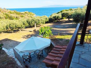 Olive By the Sea - Pyrgadikia - 0