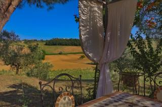 Cetine Vecchie - Torrita di Siena - 5